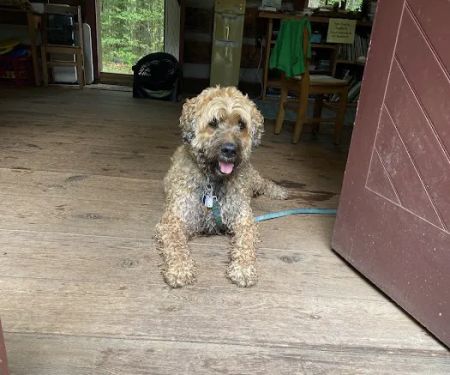 Muncy Veterinary Center