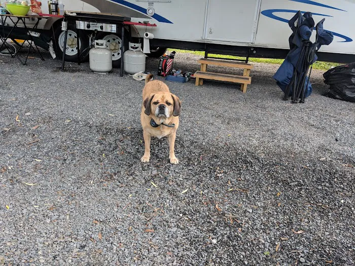 Muncy Veterinary Center Picture 10