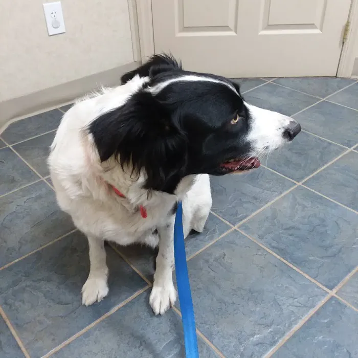 Muncy Veterinary Center Picture 8