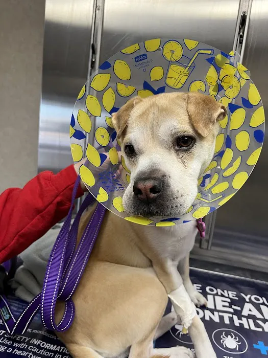 Muncy Veterinary Center Picture 4