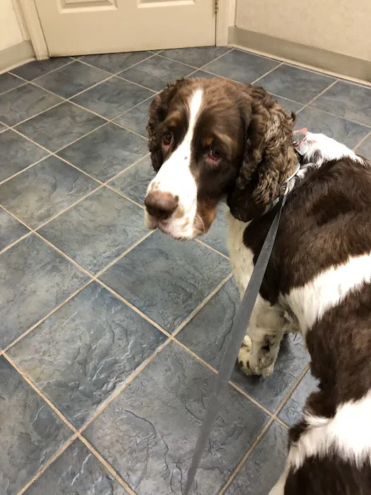 Muncy Veterinary Center Picture 7