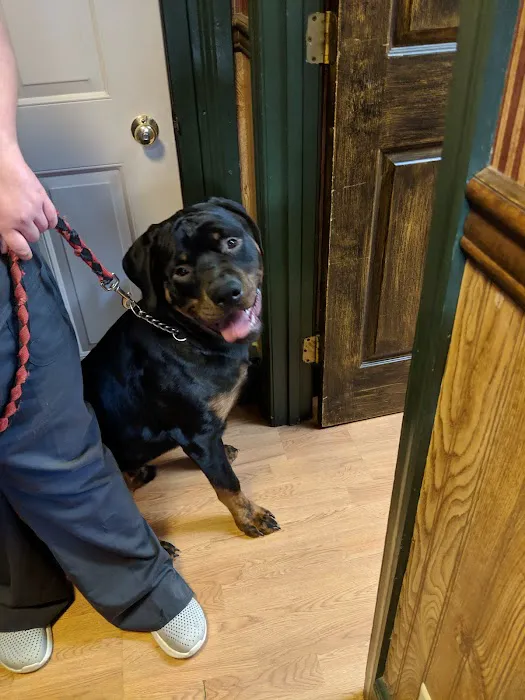 Montoursville Veterinary Hospital Picture 1