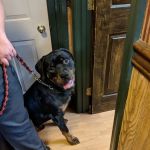 Montoursville Veterinary Hospital
