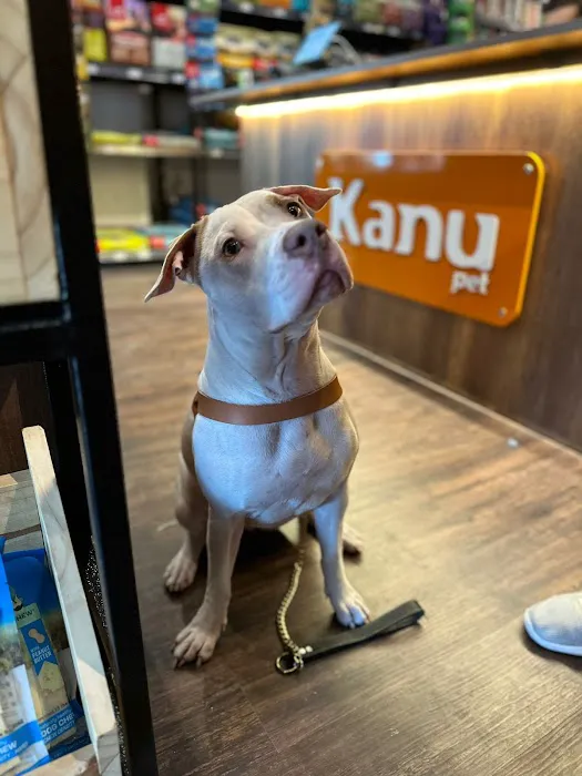 Kanu Pet - Brickell Picture 3