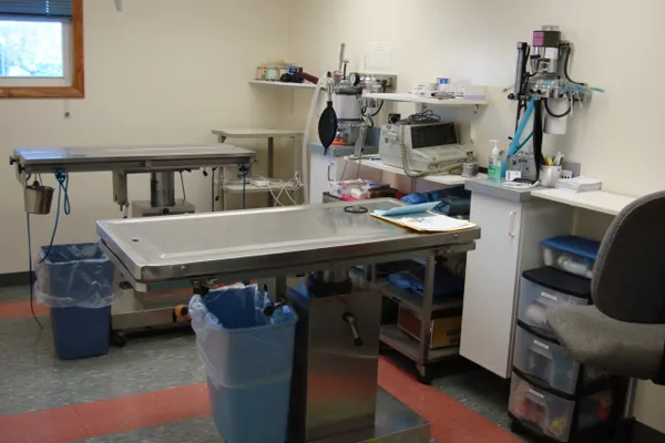 The Animal Hospital on the Golden Strip Picture 9