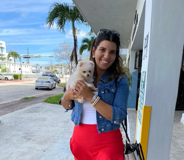 Pomeranian Puppies Miami Picture 10