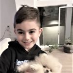 Pomeranian Puppies Miami