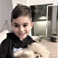 Pomeranian Puppies Miami ico