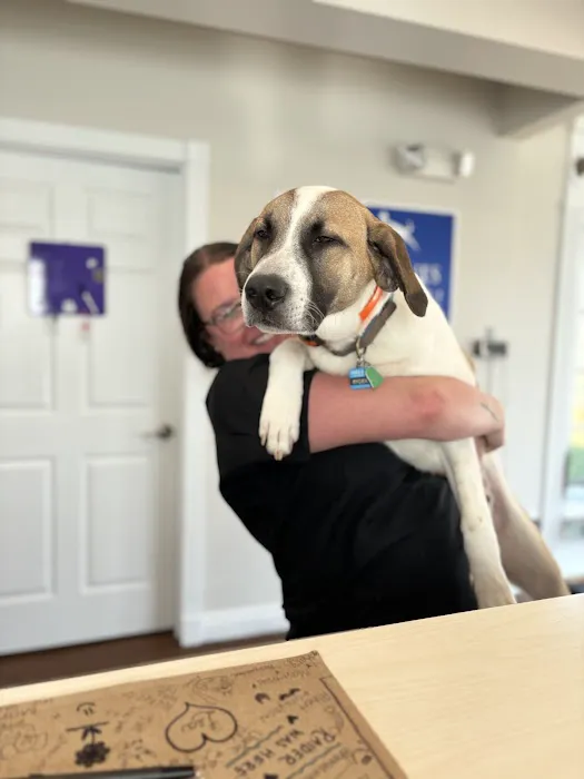 Companion Veterinary Hospital of Wayne Picture 3