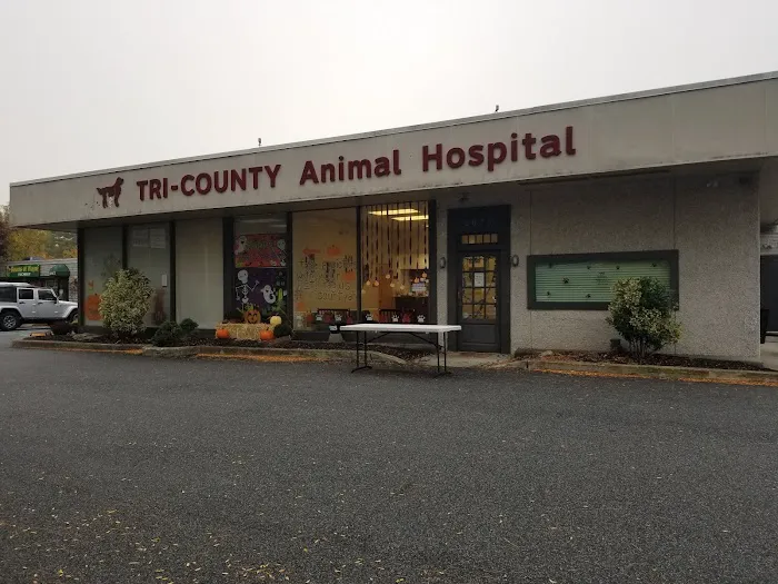Tri-County Animal Hospital Picture 7
