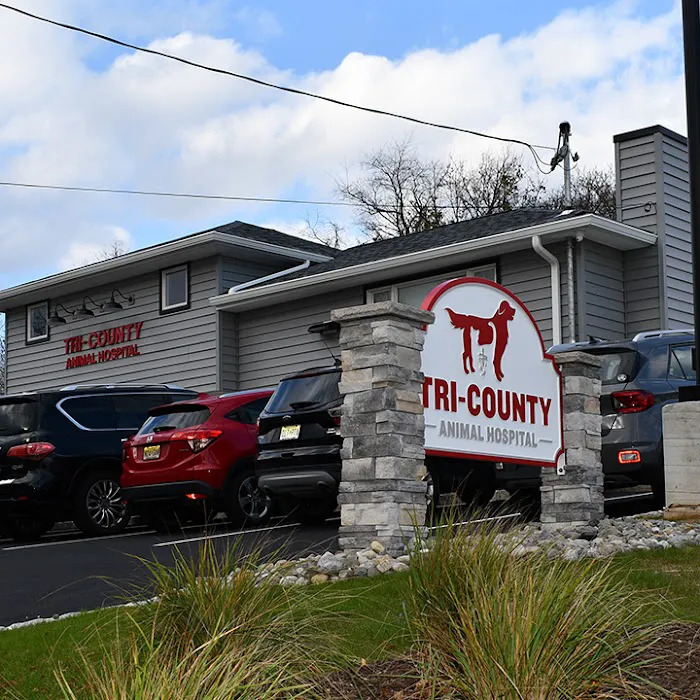 Tri-County Animal Hospital Picture 10