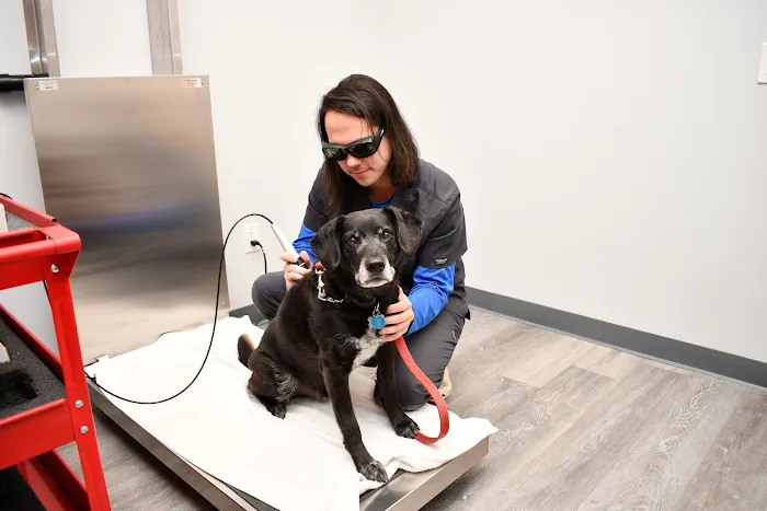 Tri-County Animal Hospital Picture 5