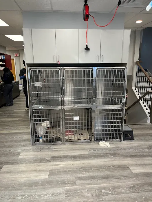 Tri-County Animal Hospital Picture 1
