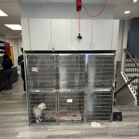 Tri-County Animal Hospital ico