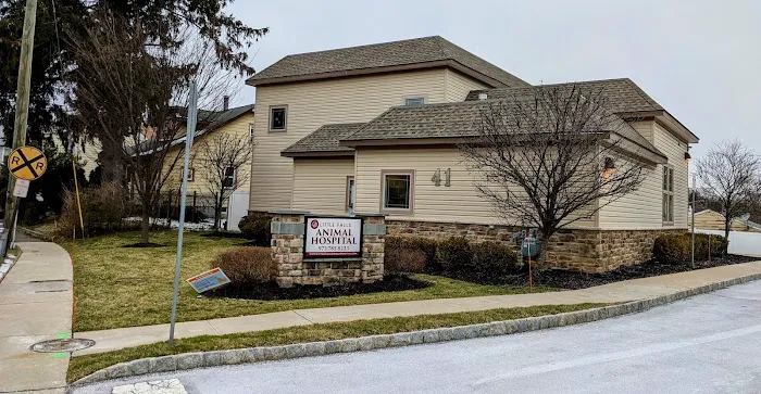 VCA Little Falls Animal Hospital Picture 6