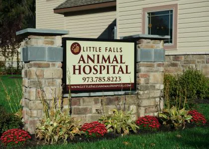 VCA Little Falls Animal Hospital Picture 5