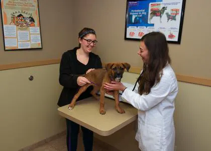 VCA Little Falls Animal Hospital Picture 7