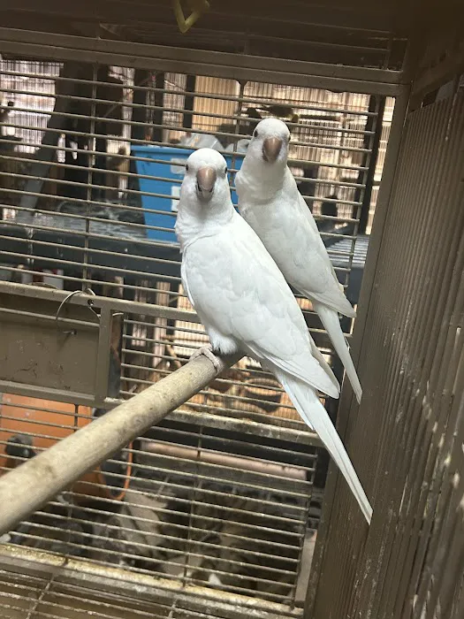 La Jungla Pet Shop Picture 7