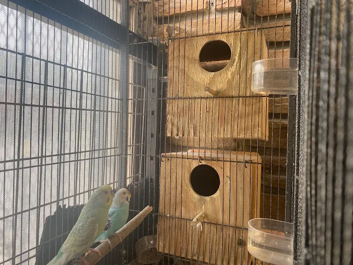 La Jungla Pet Shop Picture 10