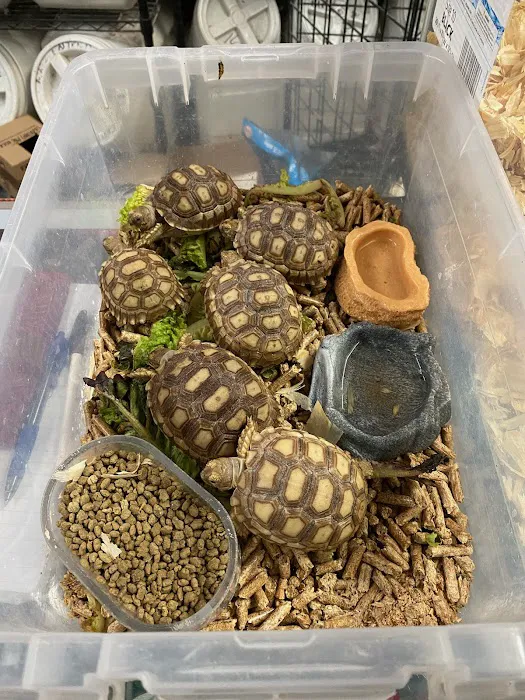 La Jungla Pet Shop Picture 2