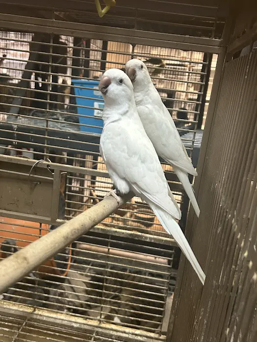 La Jungla Pet Shop Picture 6