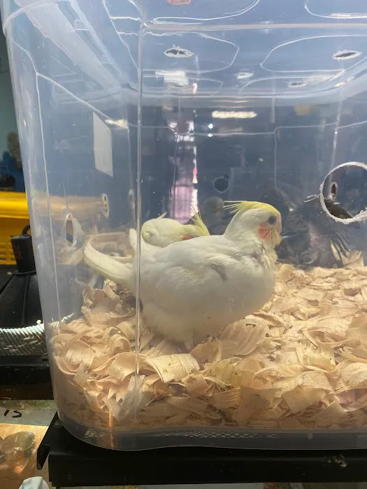 La Jungla Pet Shop Picture 5