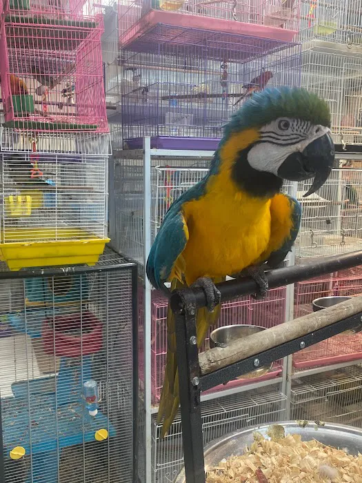 La Jungla Pet Shop Picture 8