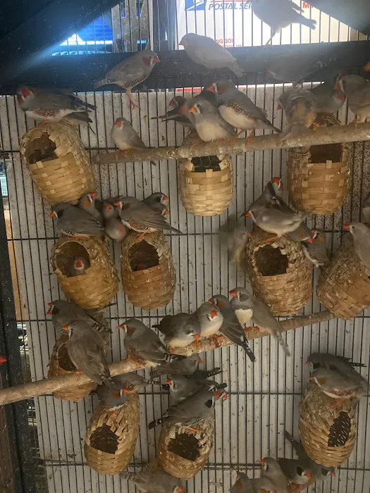 La Jungla Pet Shop Picture 9
