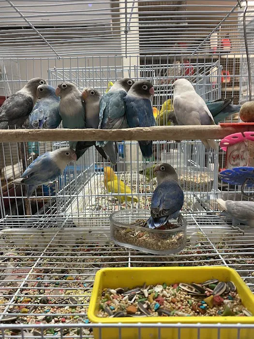La Jungla Pet Shop Picture 1