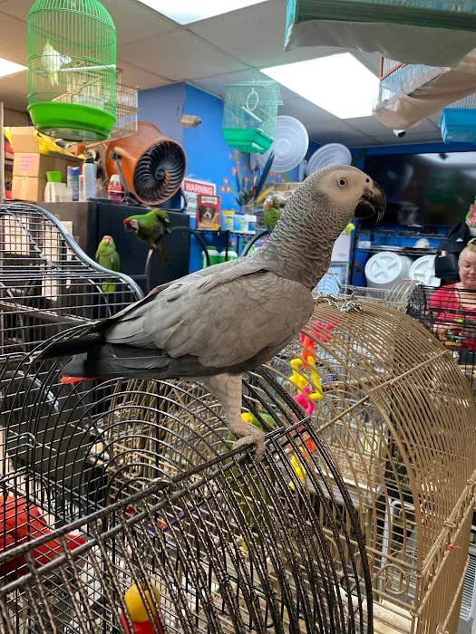La Jungla Pet Shop Picture 4