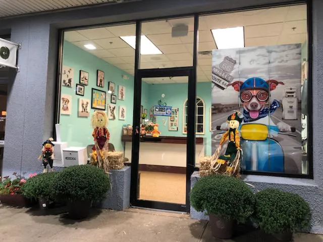 Wayne Valley Animal Hospital Picture 2