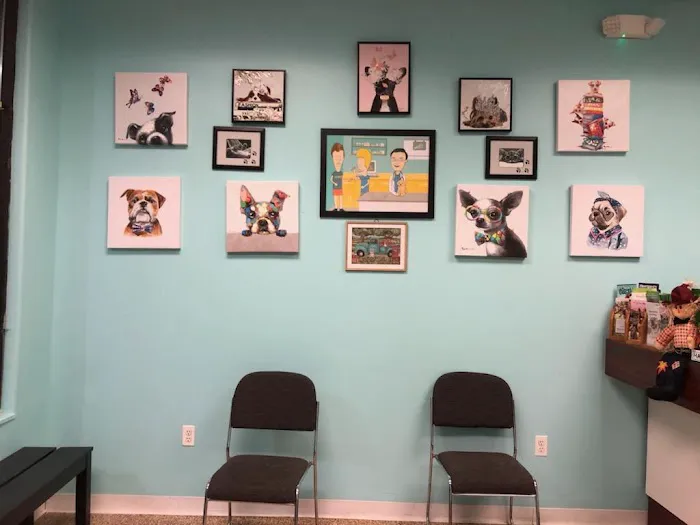 Wayne Valley Animal Hospital Picture 5