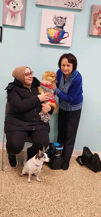 Wayne Valley Animal Hospital Picture 4