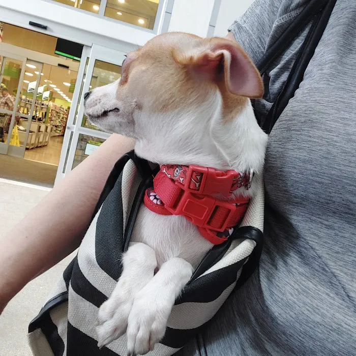 Pet Supermarket Picture 7