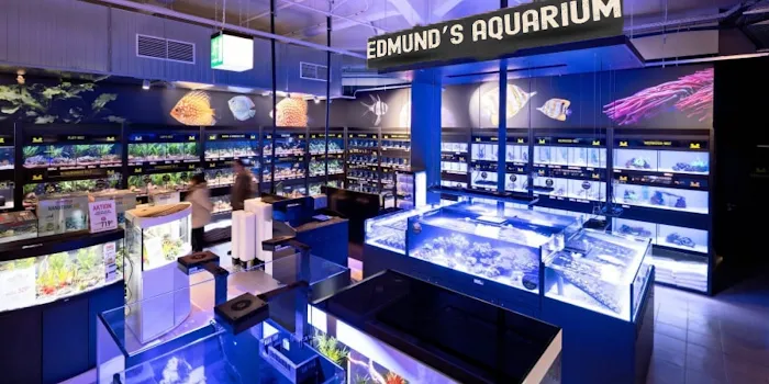 Edmund's aquarium Picture 3