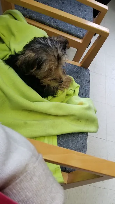 Wayne Hills Animal Hospital Picture 3