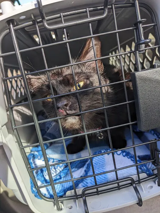 Wayne Hills Animal Hospital Picture 10