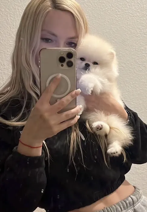Platinum Pups Of Miami Picture 2