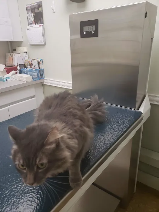 Wayne Animal Hospital Picture 5
