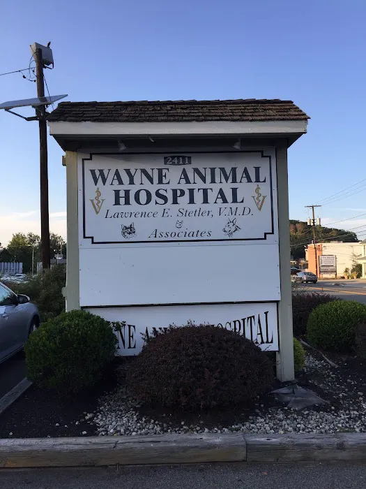 Wayne Animal Hospital Picture 8