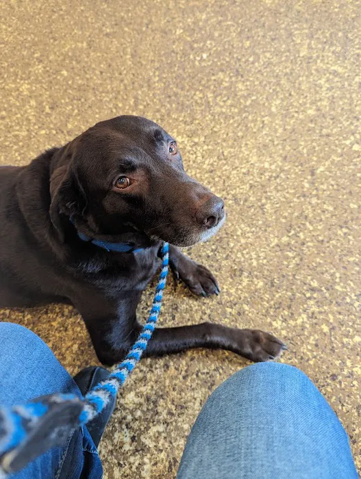 Wayne Animal Hospital Picture 1