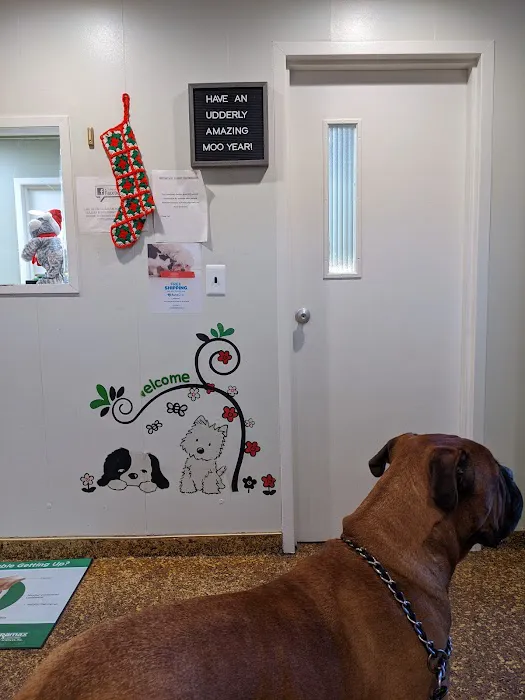 Wayne Animal Hospital Picture 10
