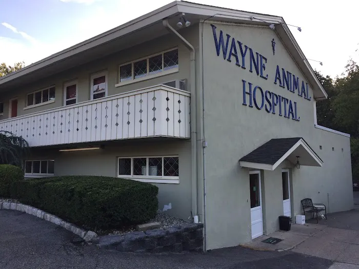 Wayne Animal Hospital Picture 7