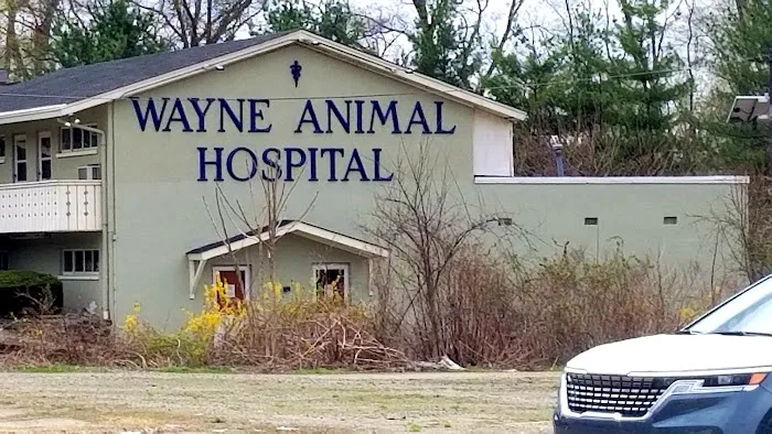 Wayne Animal Hospital Picture 6