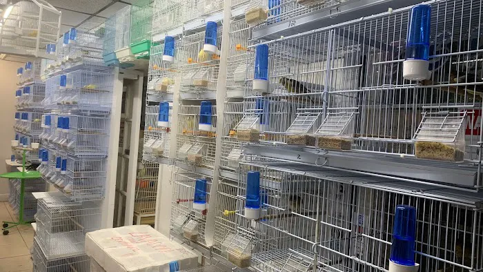 Pet Shop EddyRolex Dj Corp Picture 5
