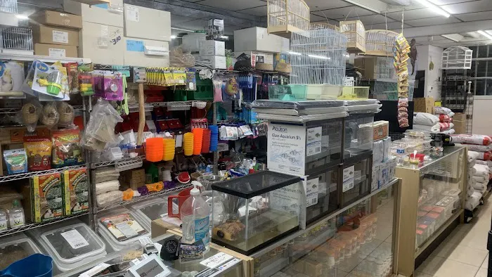 Pet Shop EddyRolex Dj Corp Picture 2