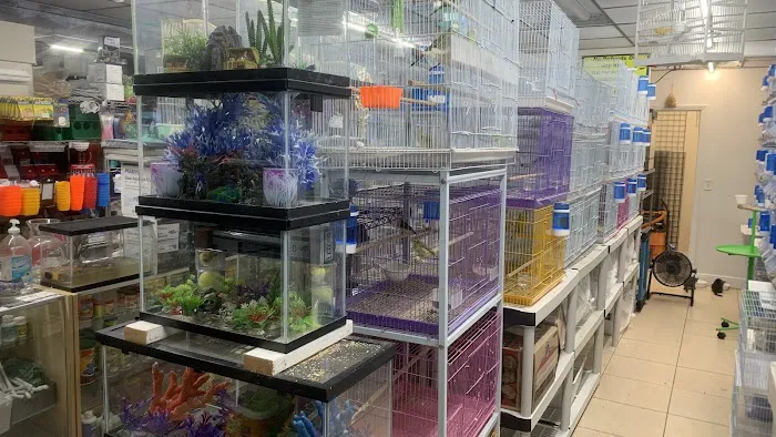 Pet Shop EddyRolex Dj Corp Picture 4