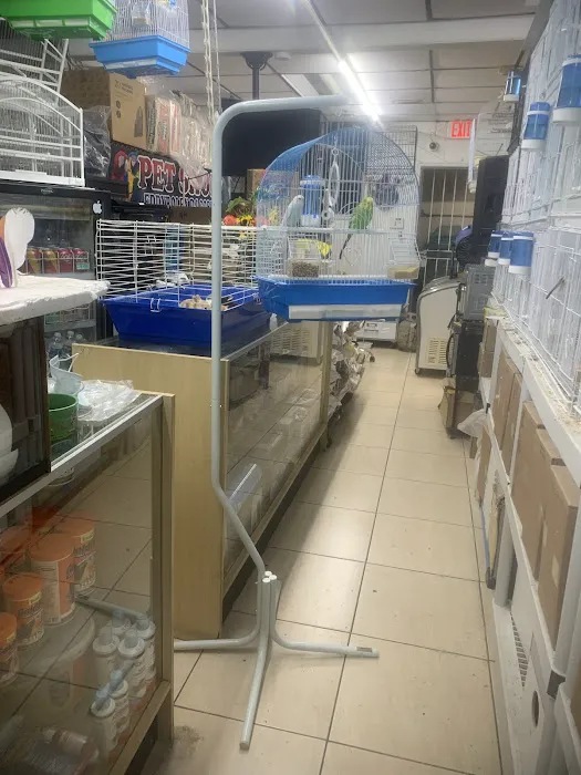 Pet Shop EddyRolex Dj Corp Picture 3