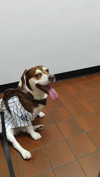 North Jersey Animal Hospital Picture 2