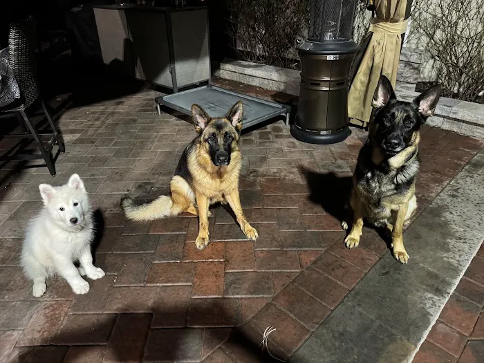 North Jersey Animal Hospital Picture 9